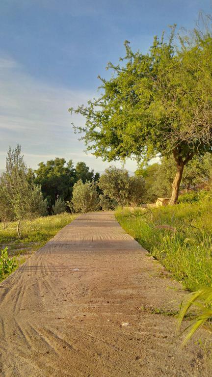 Villa Du Souss Agadir Eksteriør billede